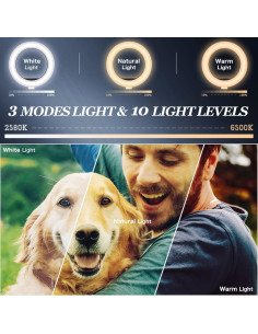 Kit Luz de Anillo RIEOMN 10.2" Ajustable LED para Maquillaje 2