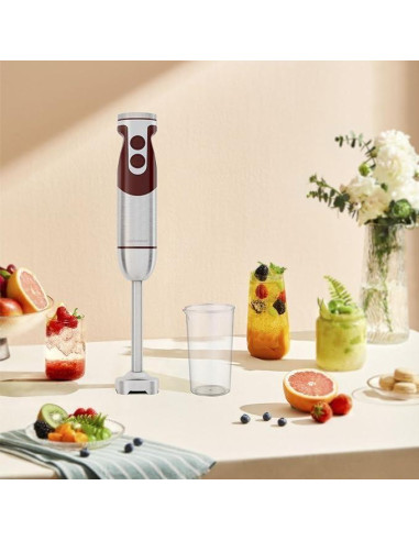 Batidora de Inmersión MEGAWISE 5 en 1 400W Acero Inoxidable