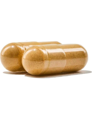 Multivitamina para Hombres NatureWise - 90 Cápsulas - Soporte Inmunológico y Salud Prostática