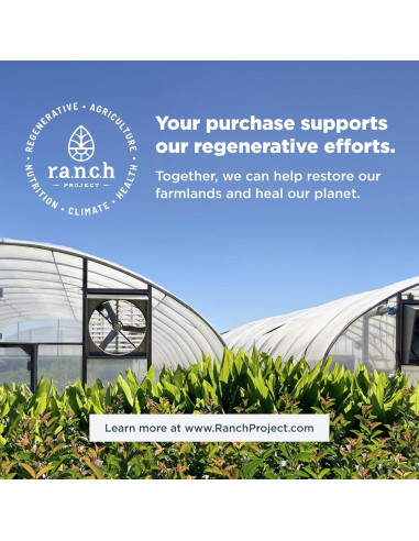 Multivitamínico para hombres 40+ Nutrición Antigua 30 cápsulas