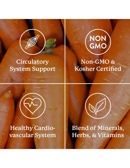 Mega-Chel Nature's Sunshine 120 Tabletas Suplemento Mineral