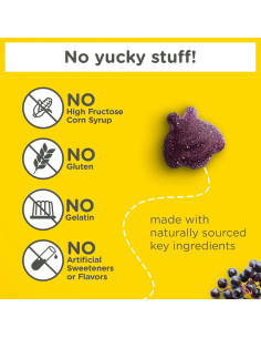 Gomitas Zarbee para Niños - Apoyo Inmunológico 42 gomitas 2