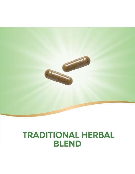 Suplemento Herbal Nature's Way Riñón y Vejiga 100 Cápsulas 900 mg