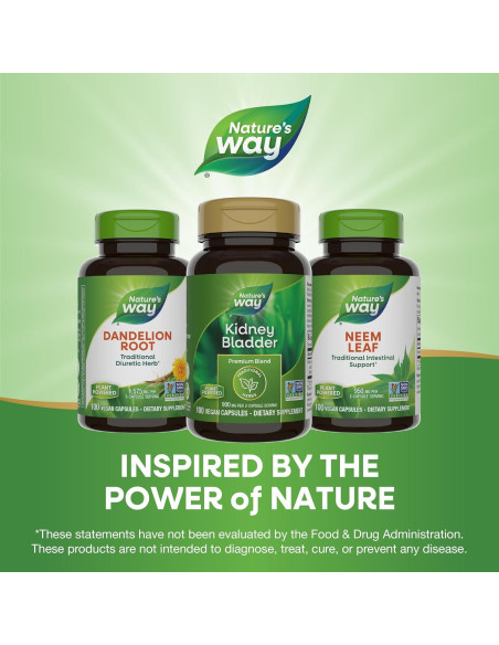 Suplemento Herbal Nature's Way Riñón y Vejiga 100 Cápsulas 900 mg
