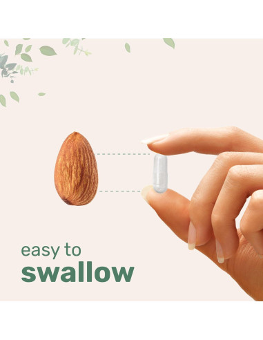 Vitamina C Pura 2000mg Micro Ingredients 240 Cápsulas Vegetales