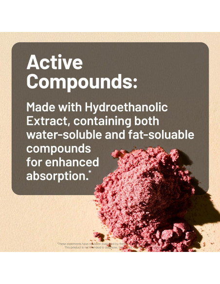 NatureWise Pastillas de Arándano 60 Cápsulas - Salud Urinaria