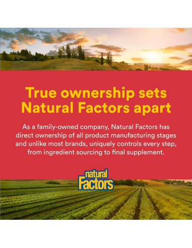 Quercetina 500 mg Factores Naturales - 60 Cápsulas Veganas