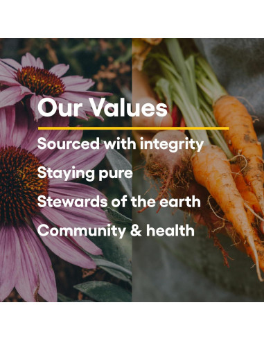 Aceite de Salmón Salvaje de Alaska Factores Naturales 180 Gelatinas