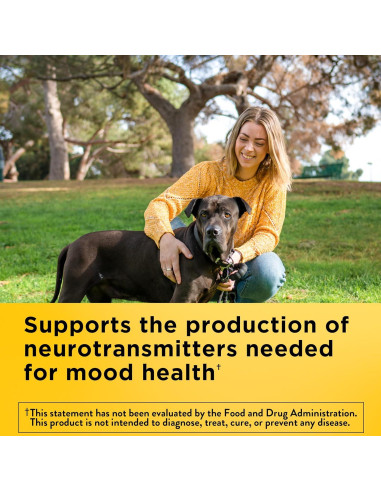 Vitamina B6 Nature Made 100 mg 100 Tabletas Sin Sabor