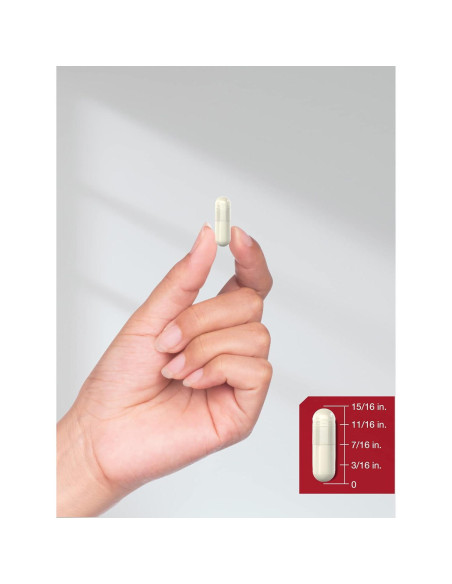 Cápsulas de Vinagre de Sidra de Manzana Horbach 2400mg 150 Unidades