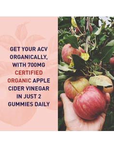 Gominolas Probioticas Garden of Life 60 Veganas 700mg ACV 2