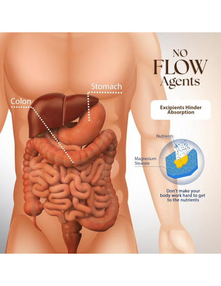 Suplemento Vitamina B12 Dr. Clark 1mg 50 Cápsulas Gelatina