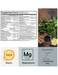 Suplemento Nootrópico Dr. Scott - Enfoque y Memoria 60 Cápsulas 2