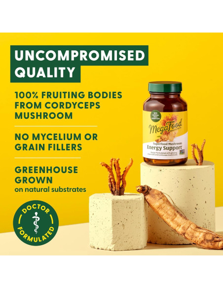 Suplemento Energético MegaFood Cordyceps y Ginseng - 60 Cápsulas Suplemento Energético MegaFood Cordyceps y Ginseng - 60 Cápsulas