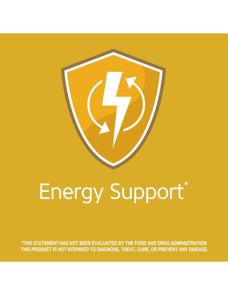 Tabletas Sublinguales Vitamina B12 2500 mcg Siglo 21 110 Unidades Tabletas Sublinguales Vitamina B12 2500 mcg Siglo 21 110 Unidades