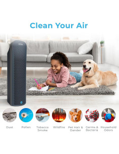 Purificador de Aire Pure Enrichment PureZone Elite HEPA 2