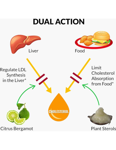 Suplemento Natural UpNourish Bergamota para Colesterol Alto - 120 Gelatinas