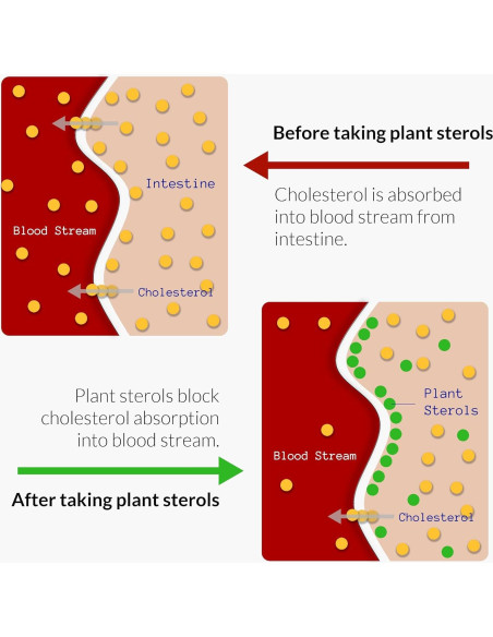 Suplemento Natural UpNourish Bergamota para Colesterol Alto - 120 Gelatinas
