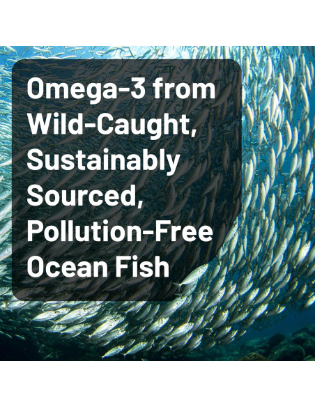 NatureWise Omega 3 Aceite de Pescado 2200 mg 120 Cápsulas