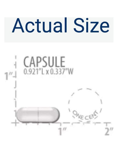 Suplemento de Magnesio L-Treonato Life Extension 150 Cápsulas Suplemento de Magnesio L-Treonato Life Extension 150 Cápsulas