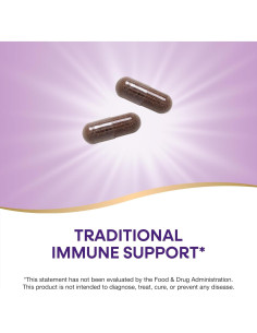 Suplemento de Saúco Negro Nature's Way 100 Cápsulas 100g 2