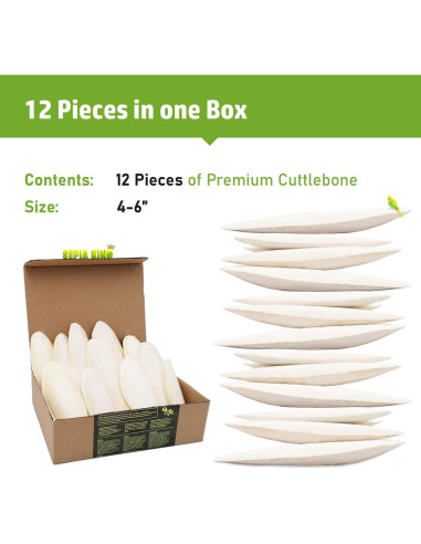 Cáscara de Sepia 100% Natural Sepia King - Paquete de 12