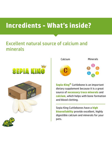 Cáscara de Sepia 100% Natural Sepia King - Paquete de 12