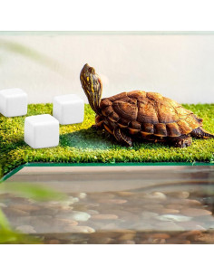 Piedra de Calcio Natural DQITJ 24 Pcs para Reptiles 2