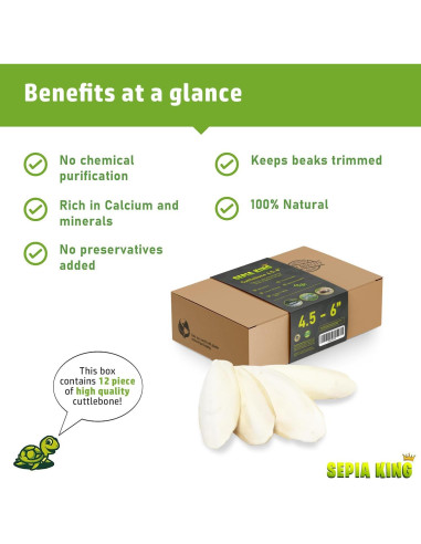 Cáscara de Sepia 100% Natural Sepia King - Paquete de 12