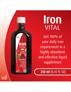 Suplemento de Hierro Líquido Hübner 250 ml con Vitamina C 2