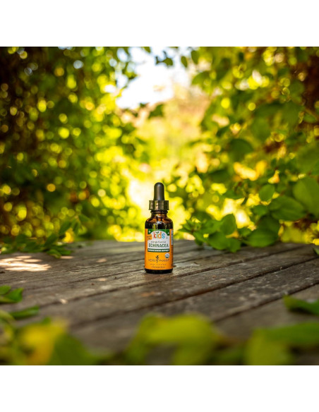 Extracto de Glicerina de Equinácea Sin Alcohol Herb Pharm 30 ml