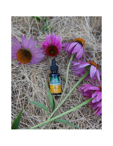 Extracto Líquido Echinacea Super Herb Pharm 118 ml Orgánico
