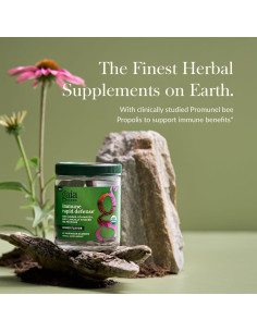 Gomas Inmunológicas Orgánicas Gaia Herbs con Jengibre y Equinácea - 60 Unidades 2