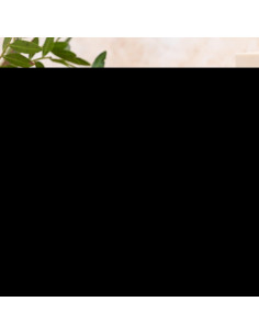 Ashwagandha Nature's Sunshine 60 VegCaps - Adaptógeno Natural 2