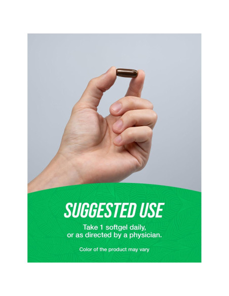 Softgels de Ginseng Panax BulkSupplements 225mg 240 Unidades