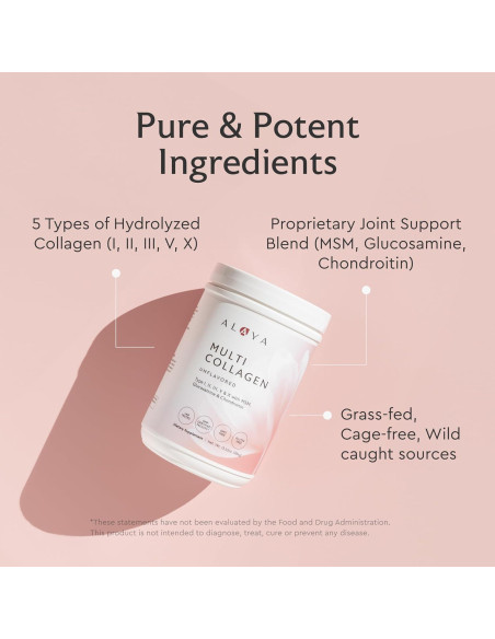 Alaya Multi Collagen Powder 40 Porciones - Colágeno Tipo I, II, III, V, X
