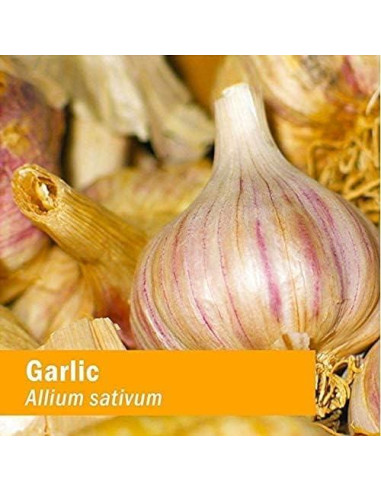 Extracto Líquido de Ajo Orgánico Herb Pharm 30 ml - Soporte Cardiovascular