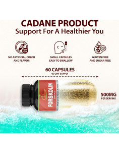 Suplemento Orgánico de Forskolin Cadane - 60 Cápsulas con Cúrcuma 2