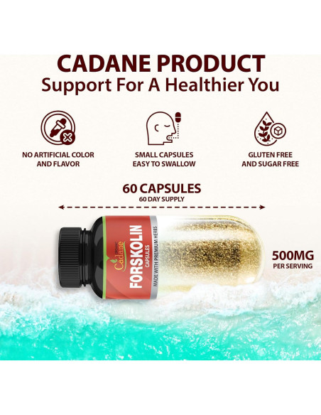 Suplemento Orgánico de Forskolin Cadane - 60 Cápsulas con Cúrcuma