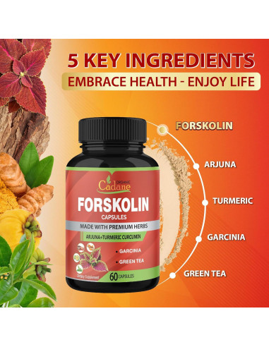 Suplemento Orgánico de Forskolin Cadane - 60 Cápsulas con Cúrcuma