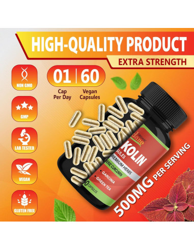 Suplemento Orgánico de Forskolin Cadane - 60 Cápsulas con Cúrcuma