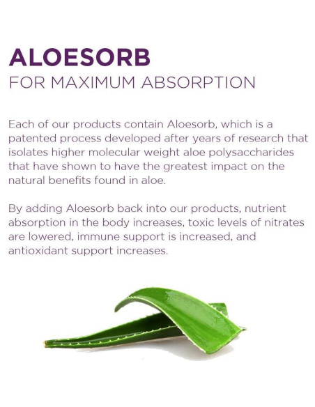 Gel de Aloe Vera Lirio del Desierto 946ml - Paquete de 2