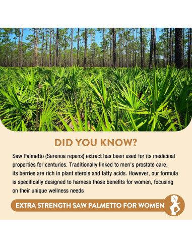 Saw Palmetto 500mg - Suplemento para Crecimiento Cabello Mujeres - 90 Cápsulas