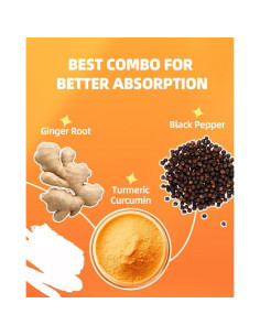 Gomitas de Cúrcuma y Jengibre ORGMO 60 Unidades Veganas 2