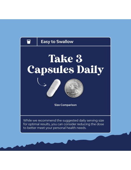 Suplemento Prostático Natures Craft - Saw Palmetto y Pygeum 60 Cápsulas Suplemento Prostático Natures Craft - Saw Palmetto y Pygeum 60 Cápsulas