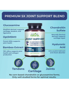 Suplemento de Glucosamina y Condroitina Why Not 1200 mg 2