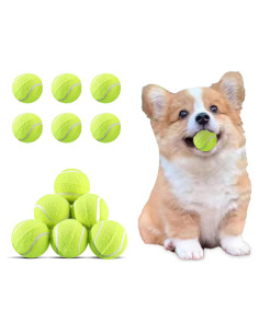 Paquete de 12 Pelotas de Tenis WookYumy para Perros Pequeños