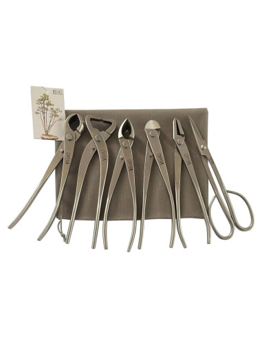 Juego de herramientas de bonsái Vouiu 6 piezas acero inoxidable