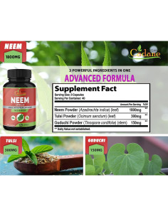 Suplemento Herbal Cadane Neem Orgánico 120 Cápsulas Vegetales 2
