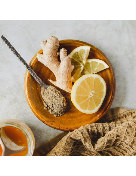 Polvo de Tulsi Orgánico Erbology 181 g - Albahaca Sagrada